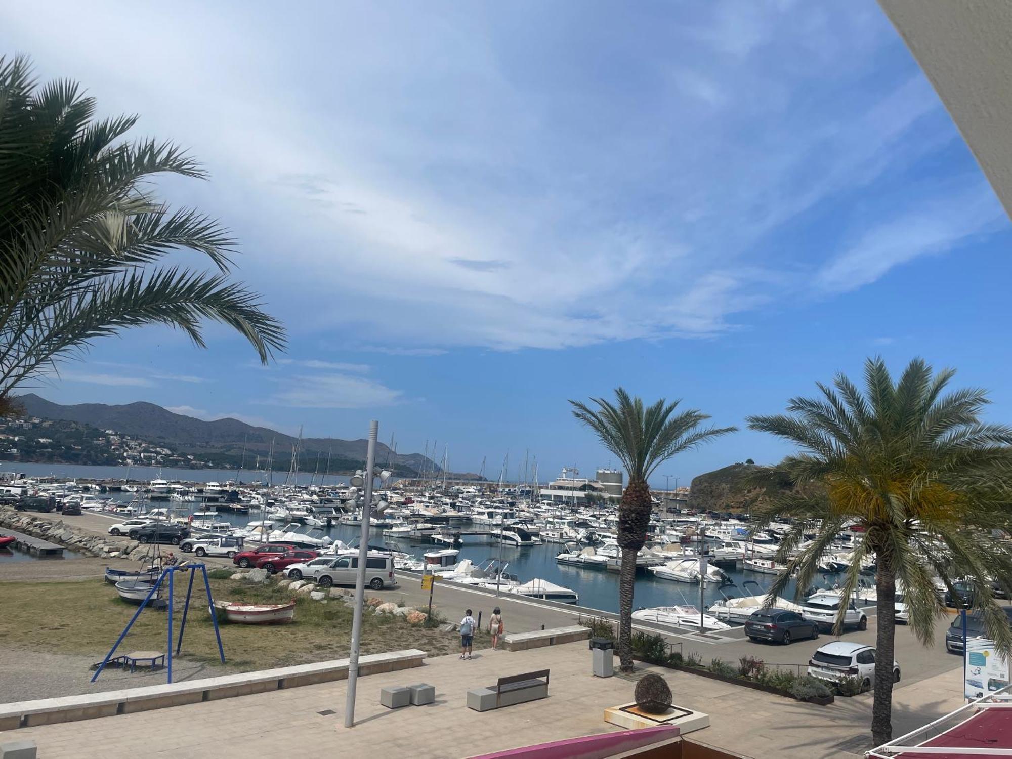 Platja Del Port Apartment Llanca Bagian luar foto